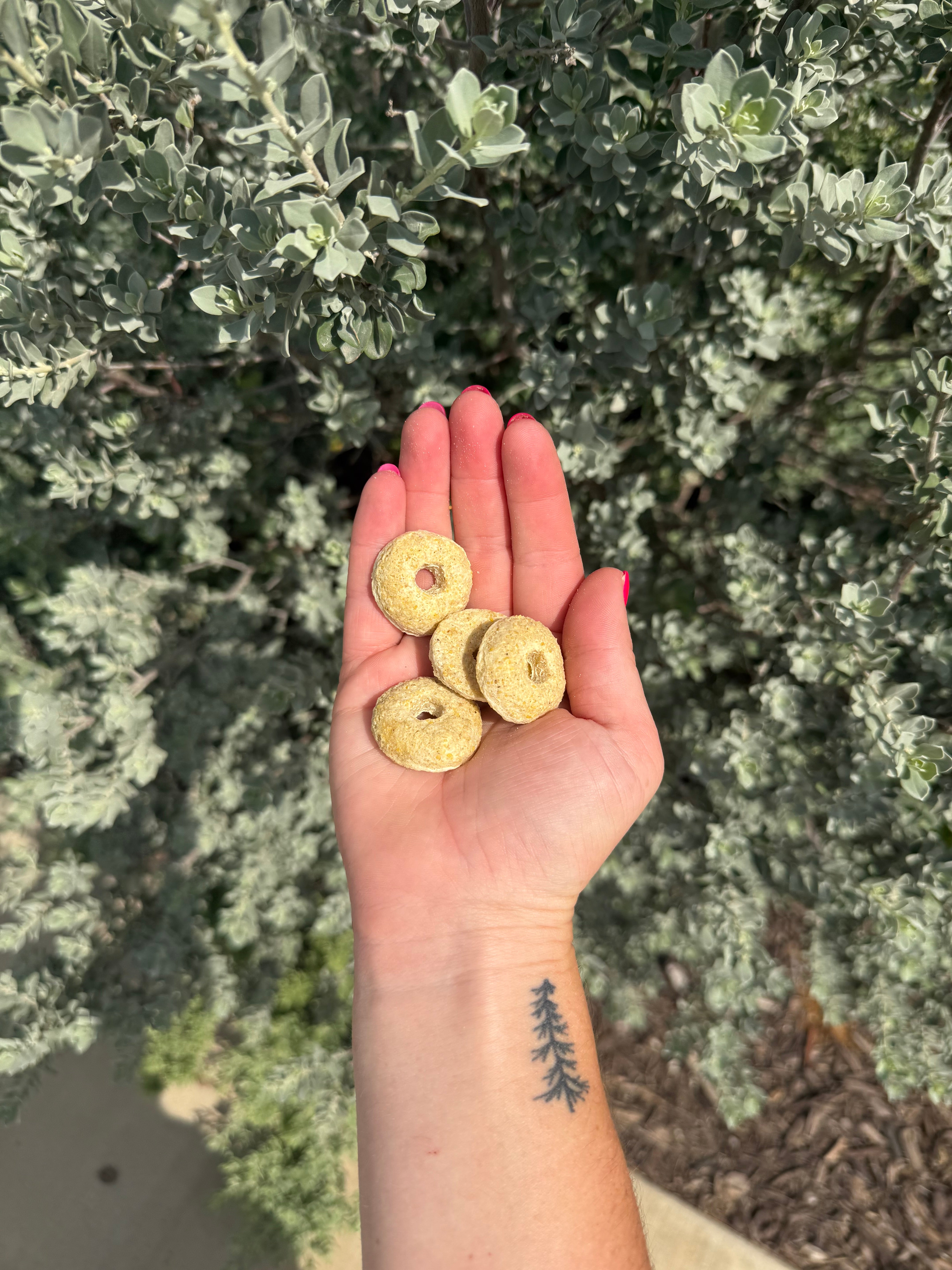 Corn Rings