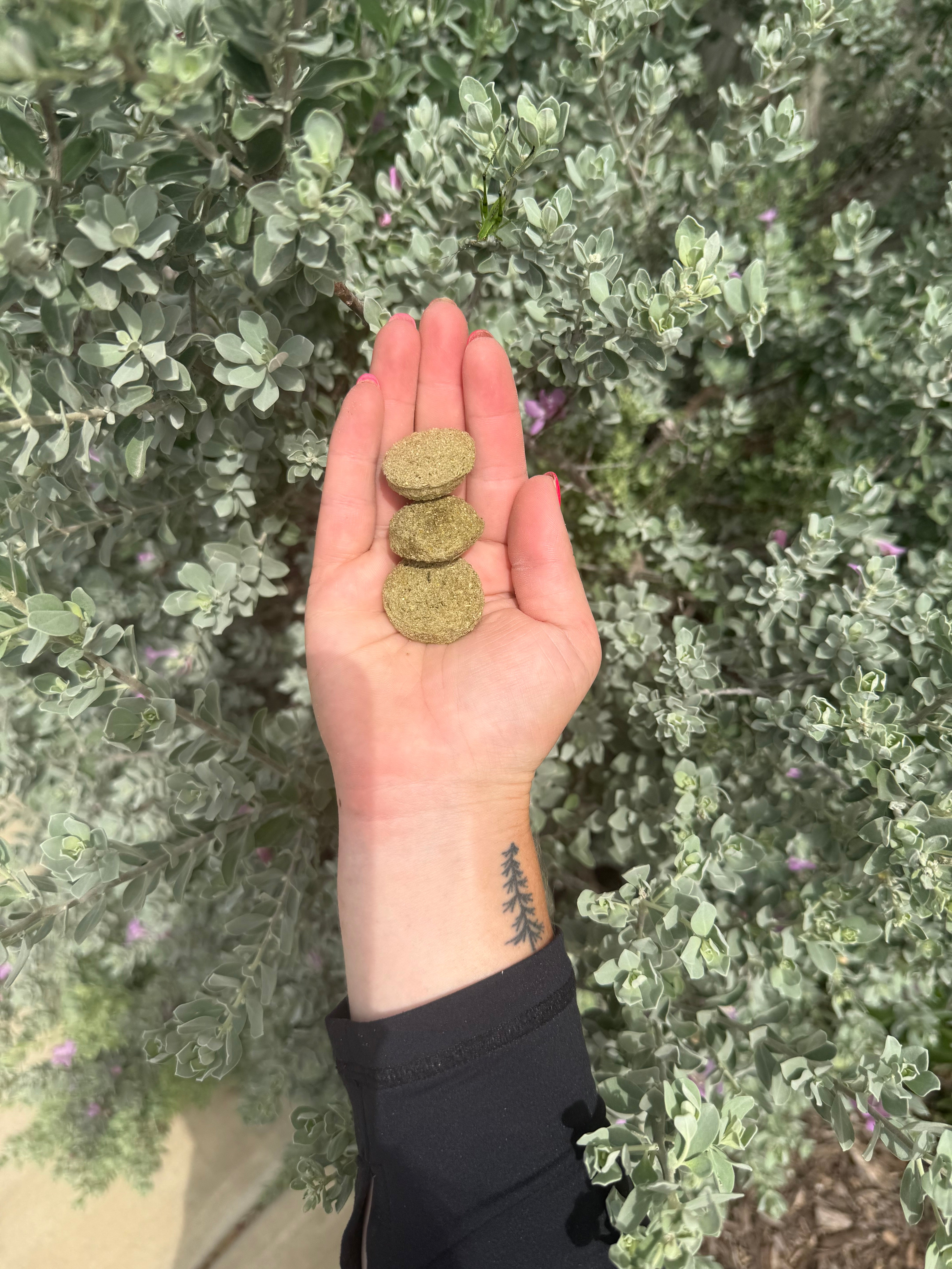Herbal Balls