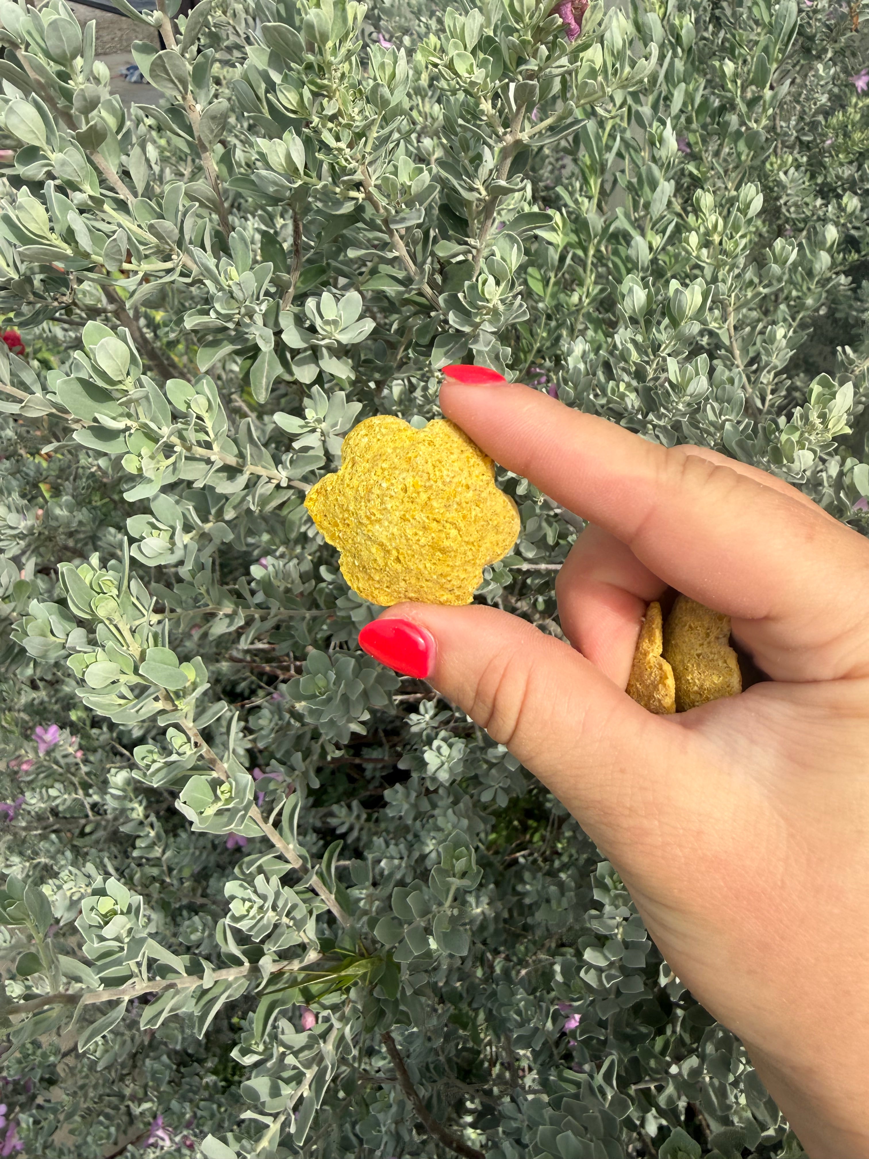 Honey Flowers