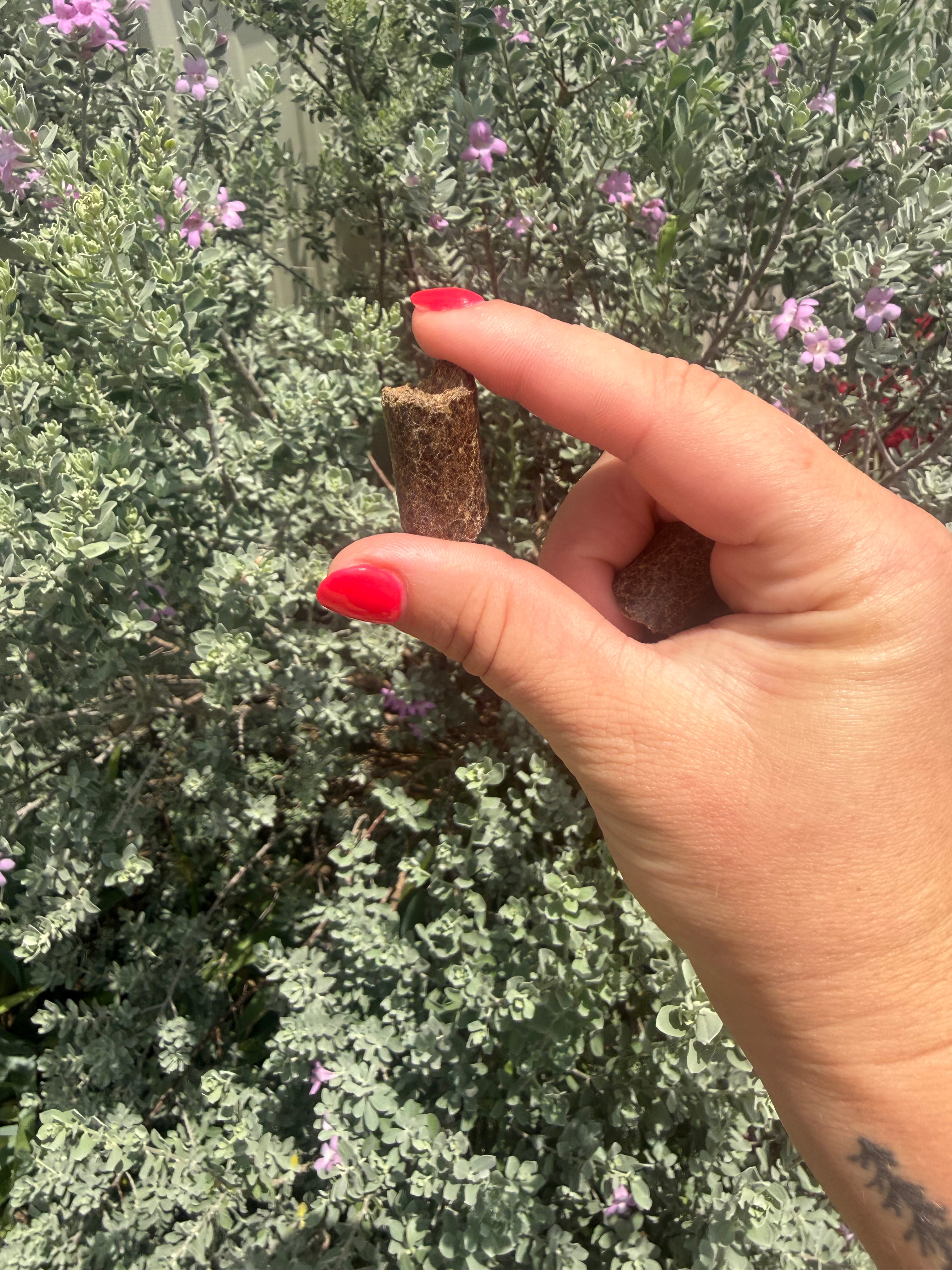Pure Apple Sticks - Grain Free