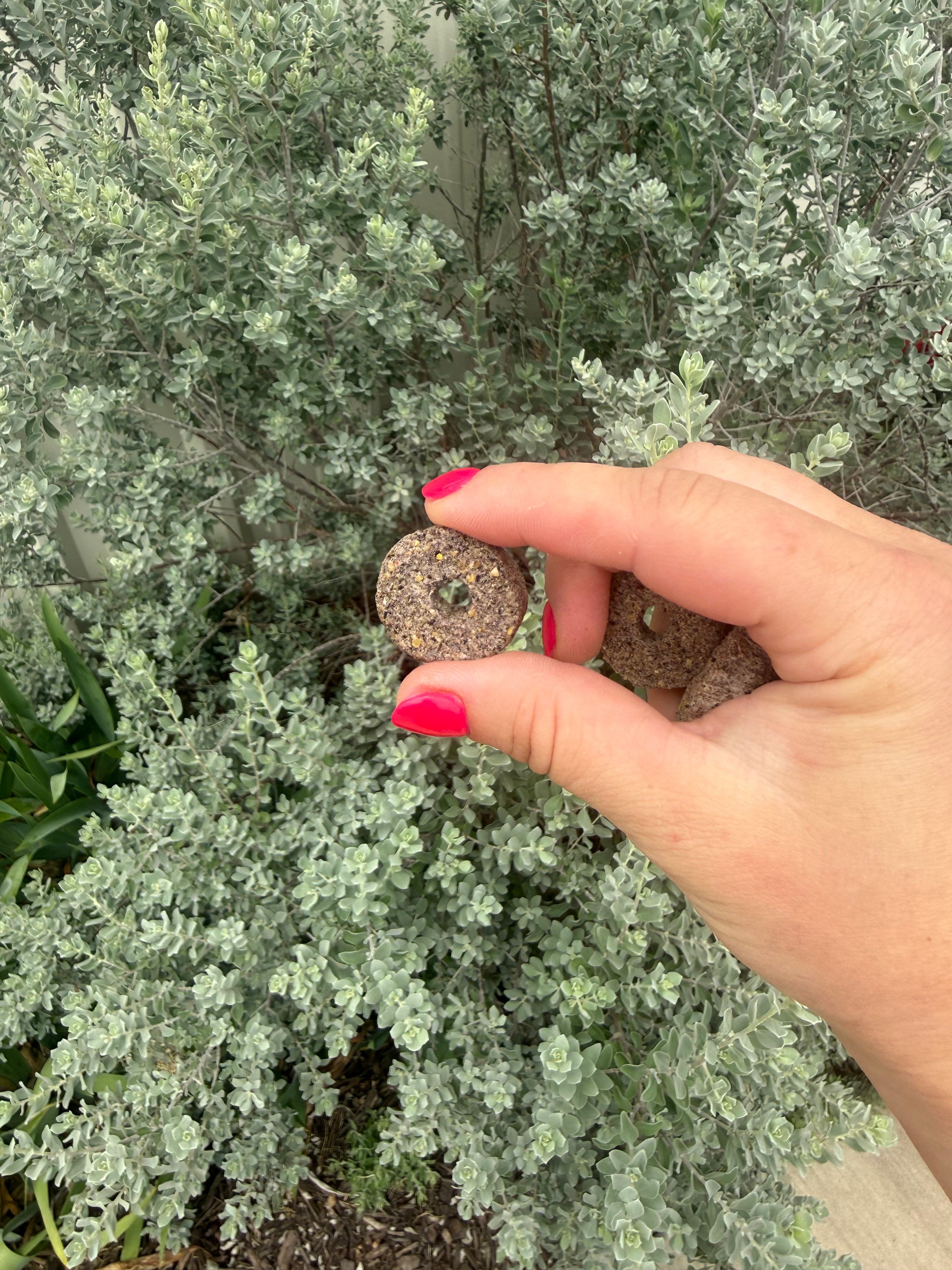 Rice Aronia Rings