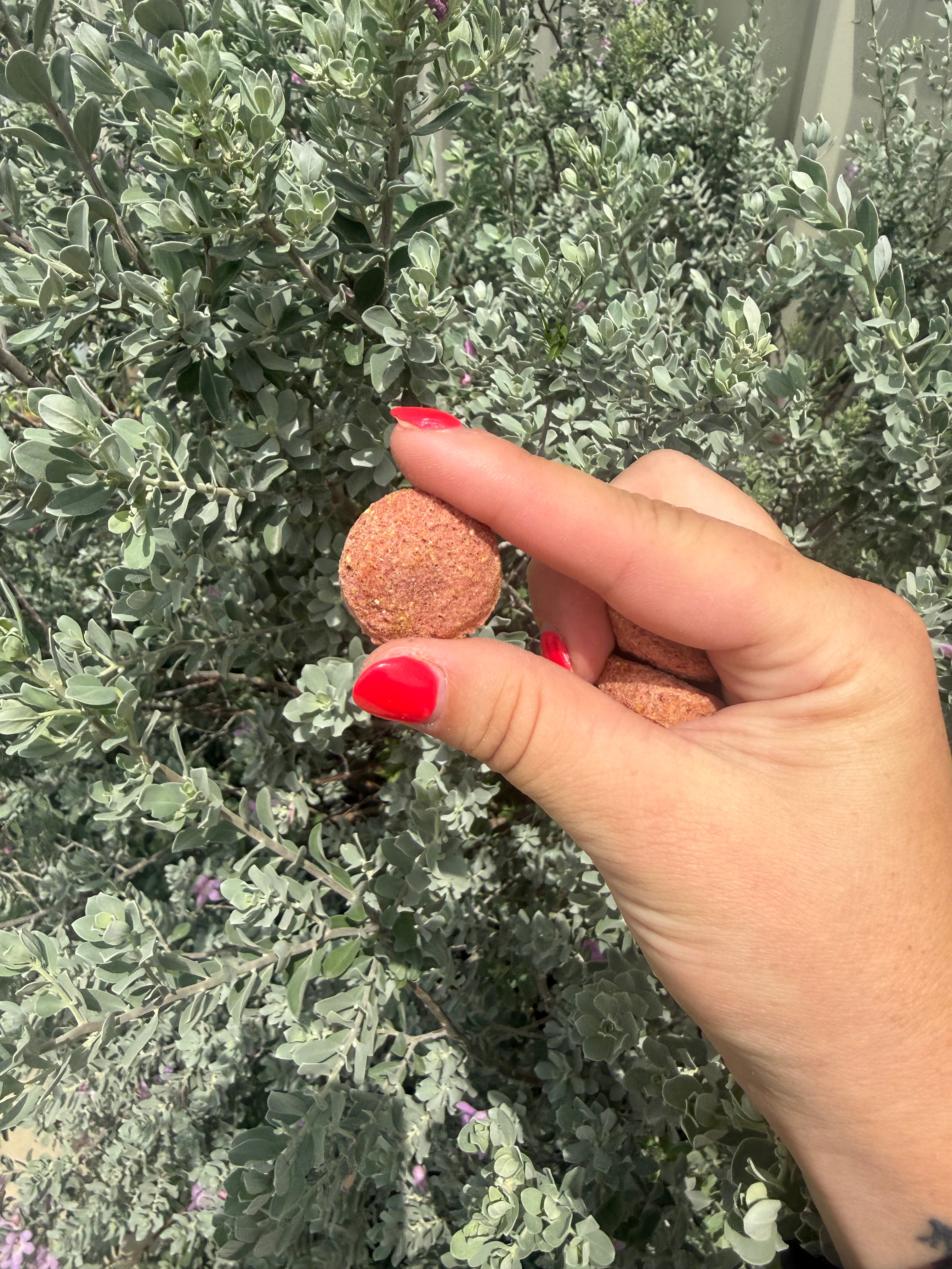 Rosehip Balls
