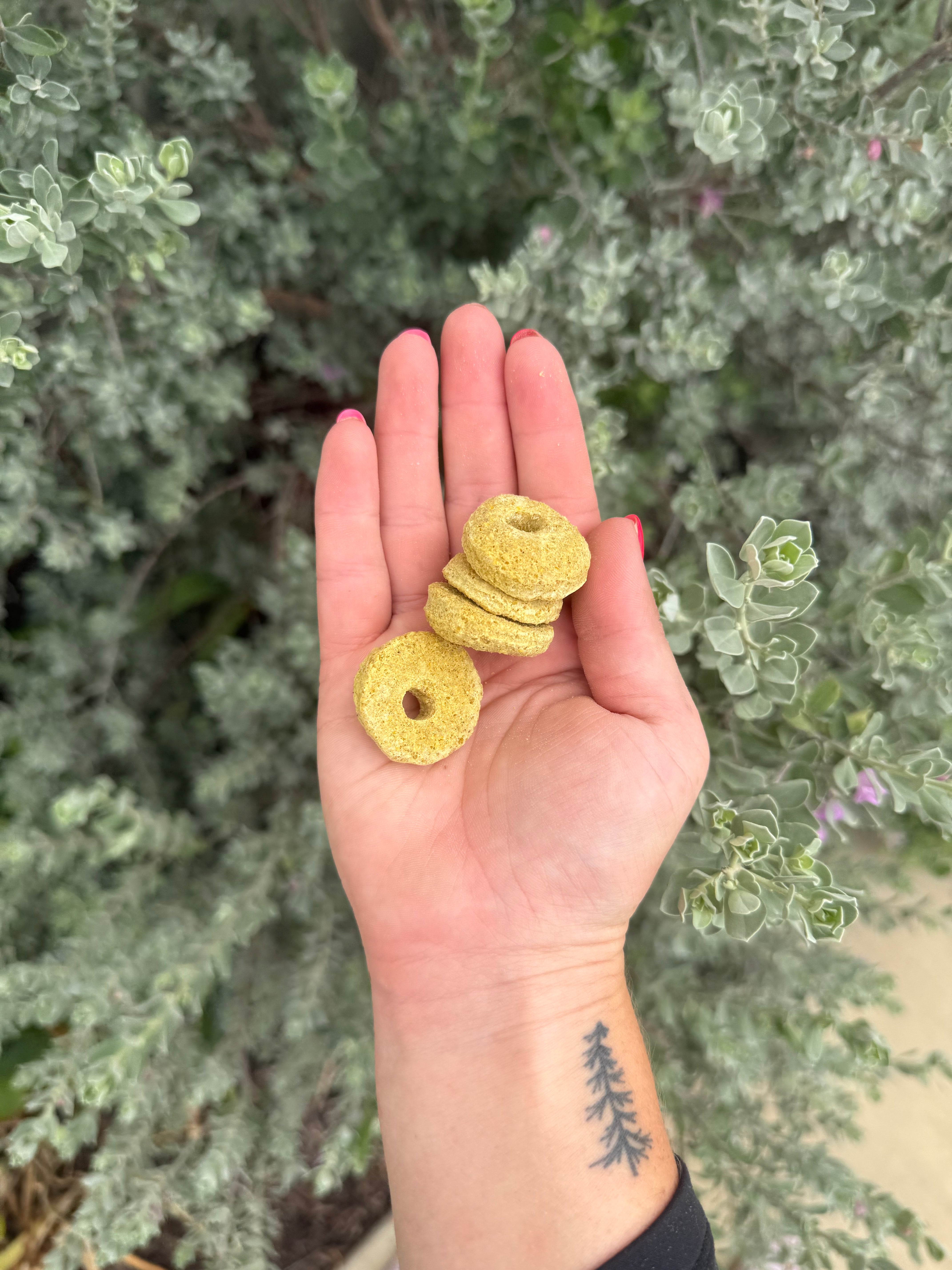 Pineapple Rings