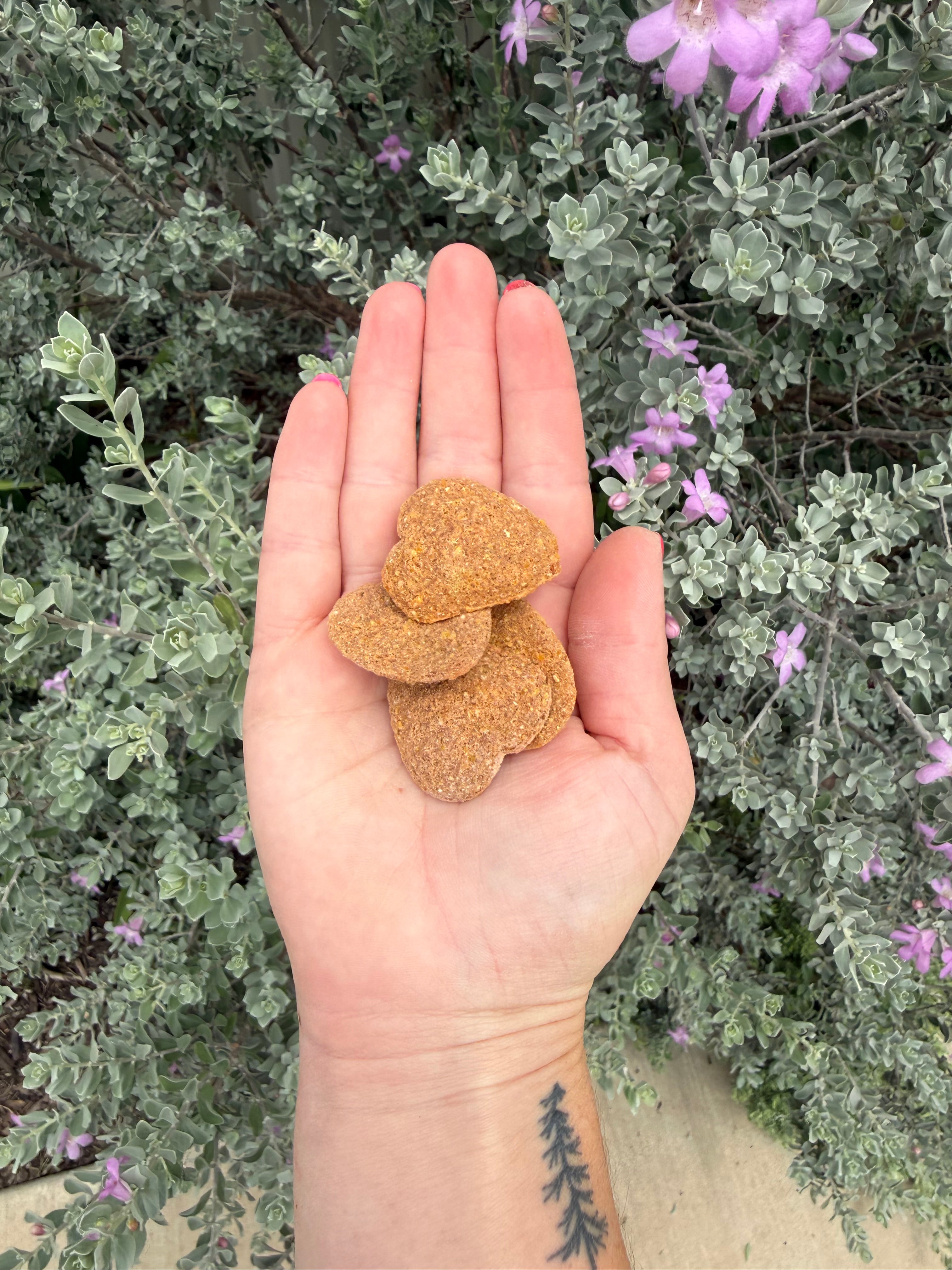Carrot Hearts