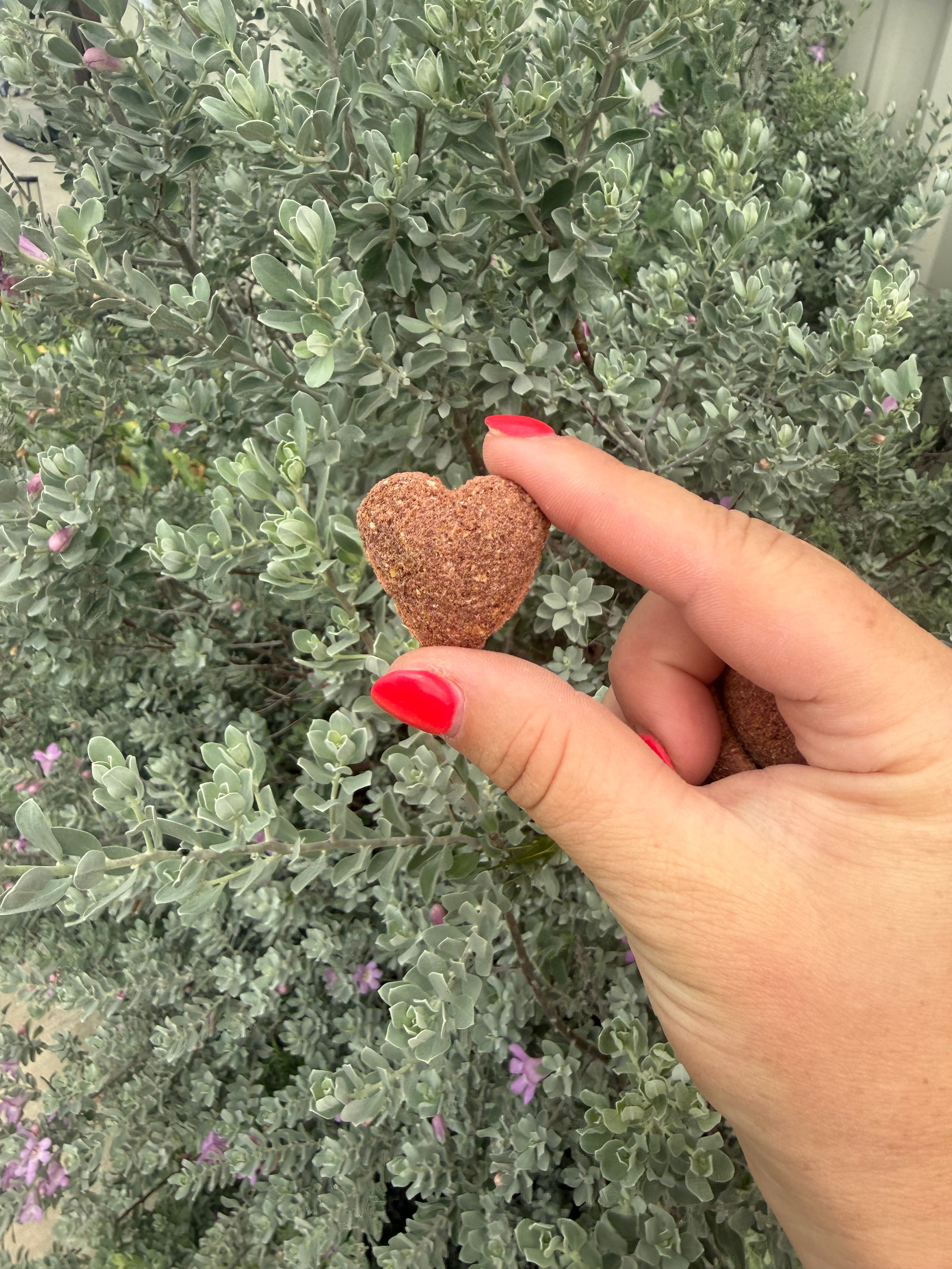 Wild Fruit Mix Hearts