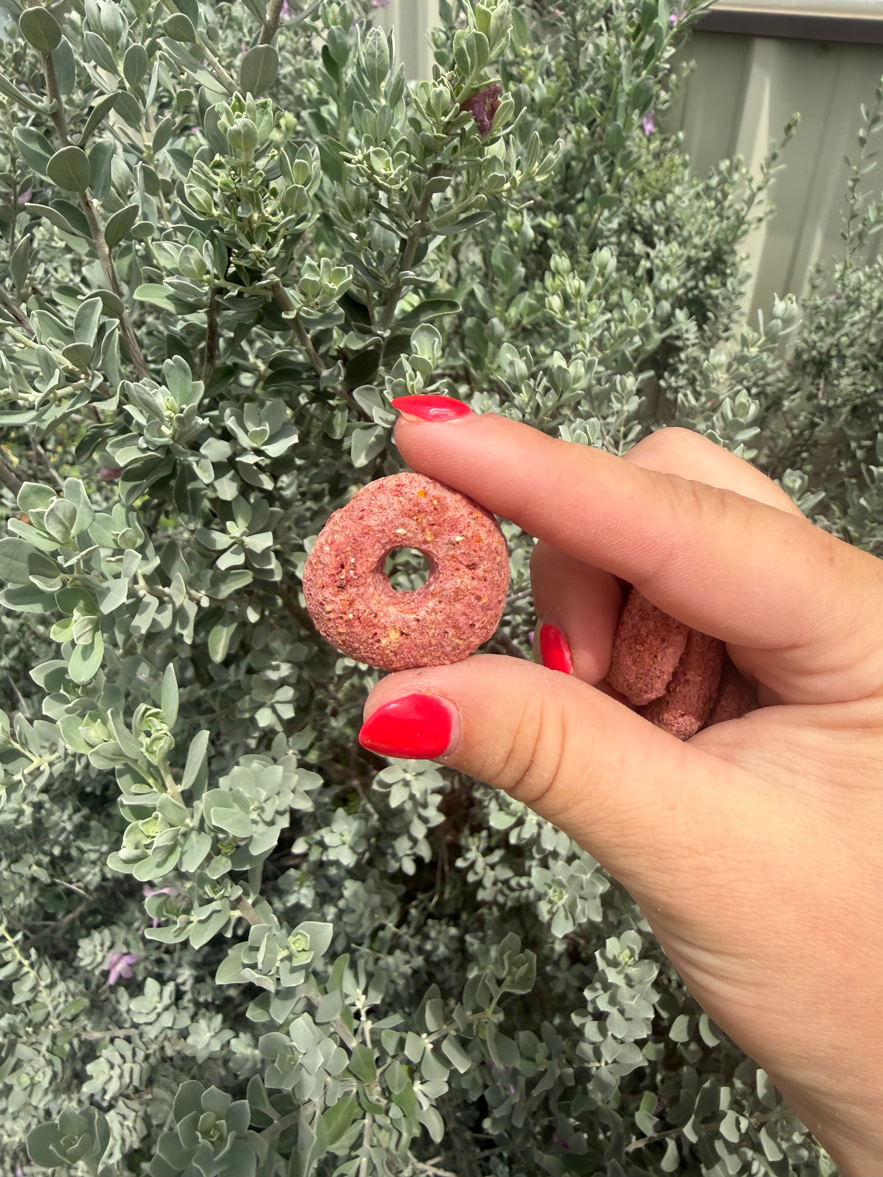 Beetroot Ring