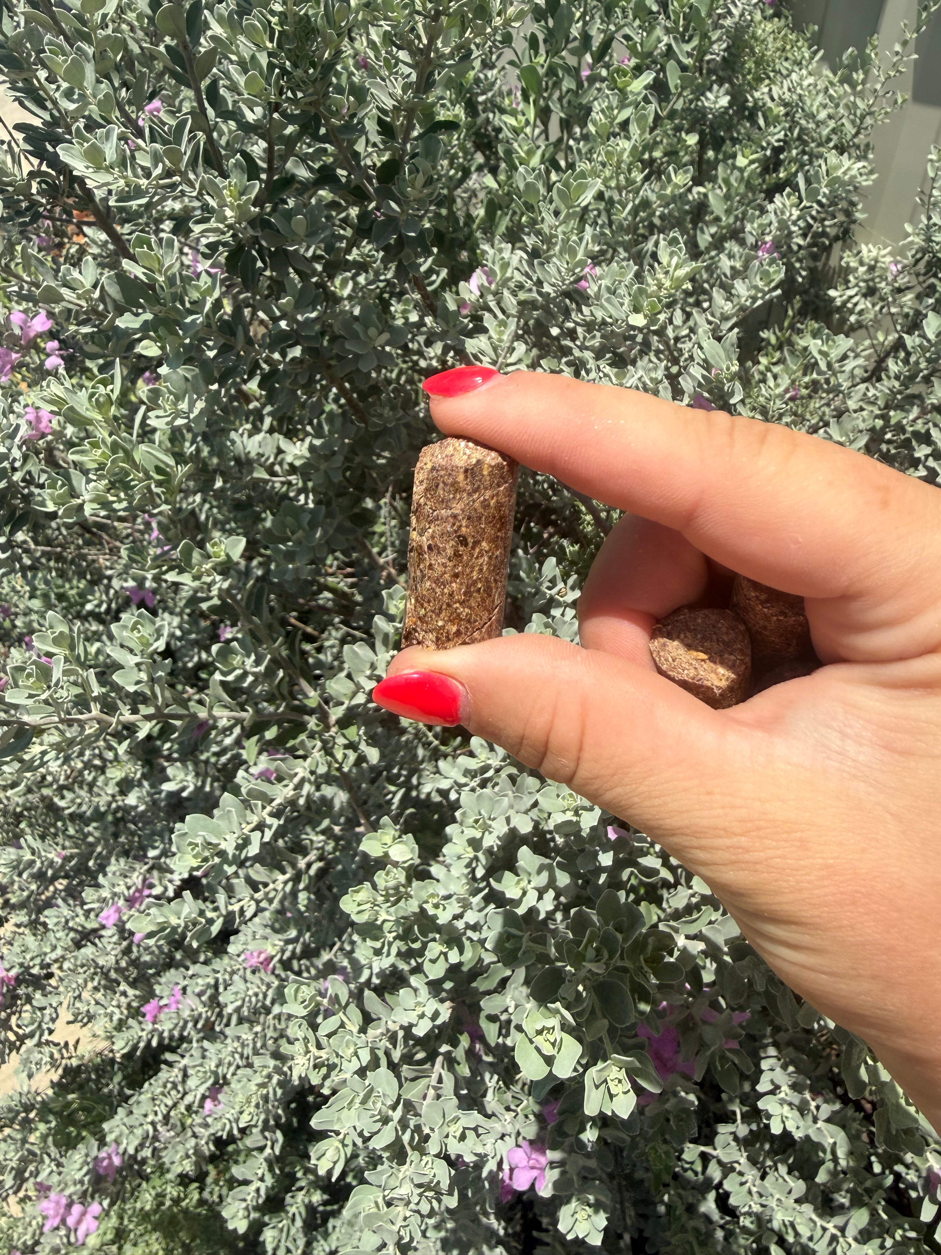 Raspberry with Linen Fiber Sticks - Grain Free