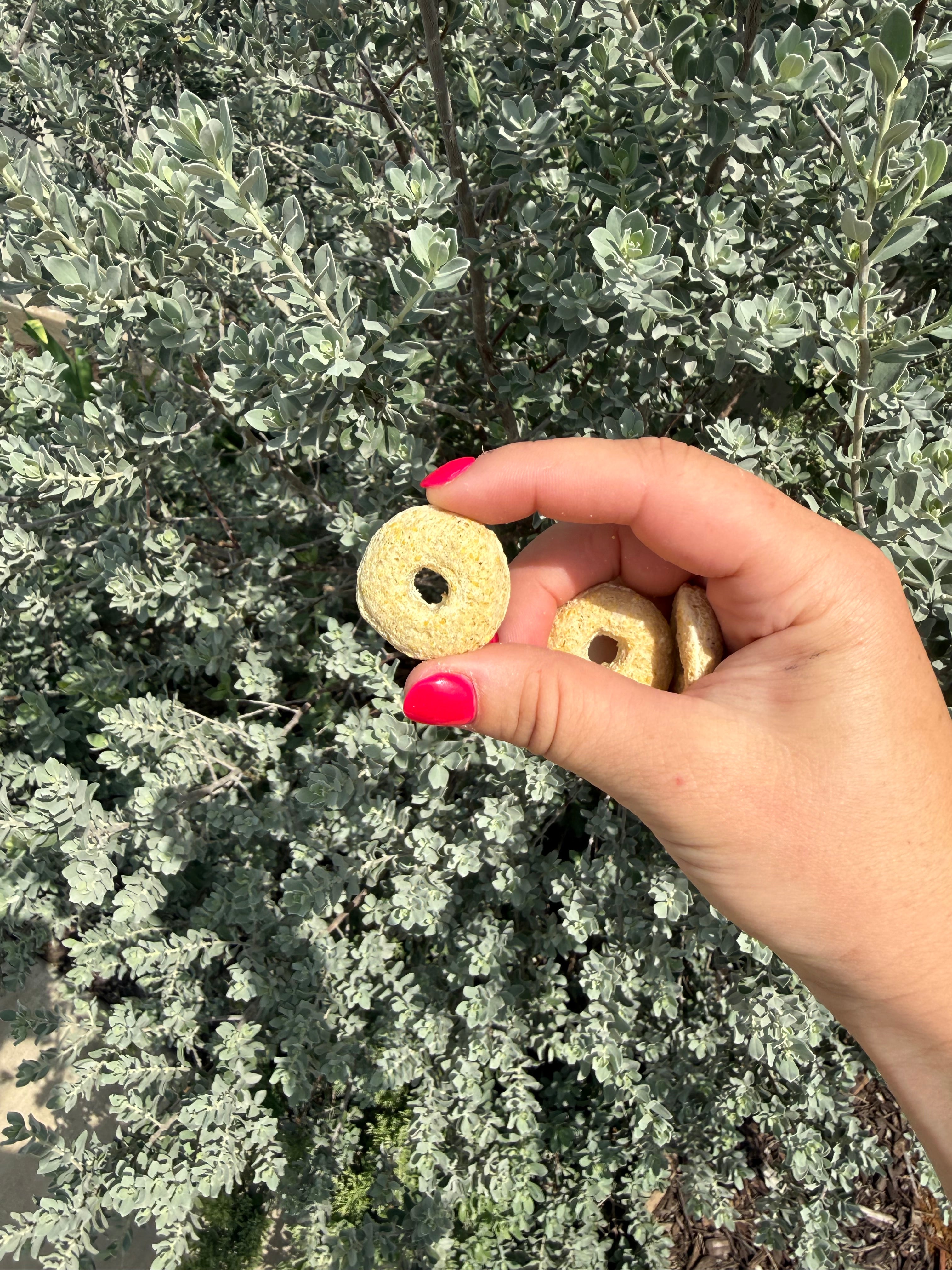 Corn Rings