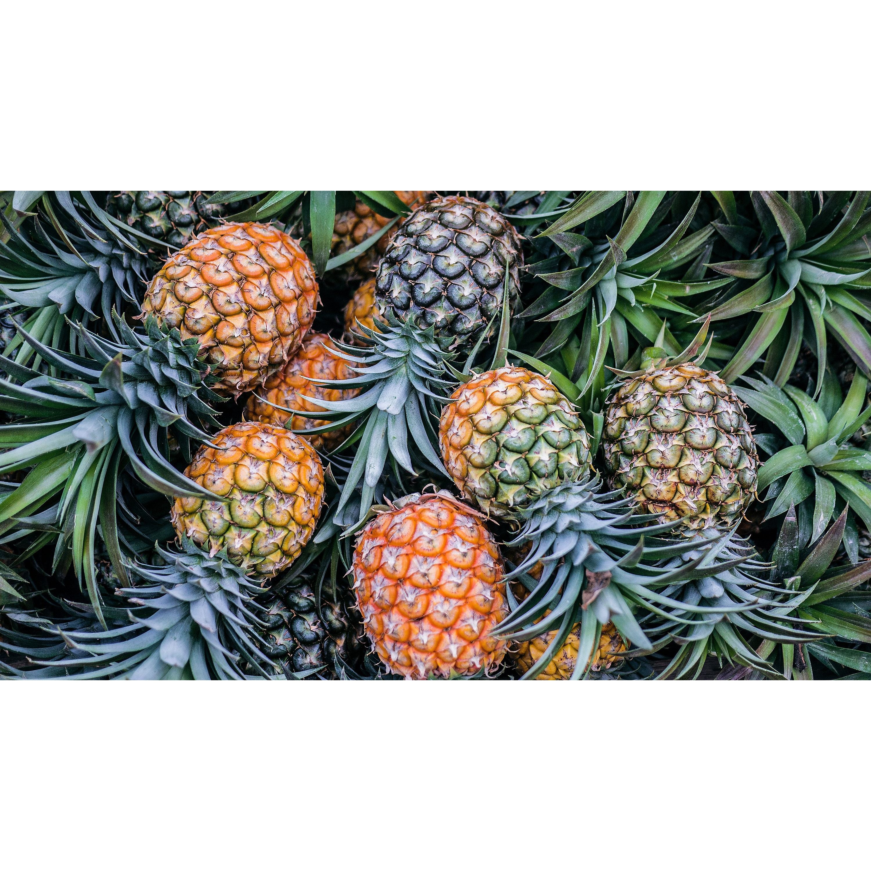 Wild Fruit Mix Hearts