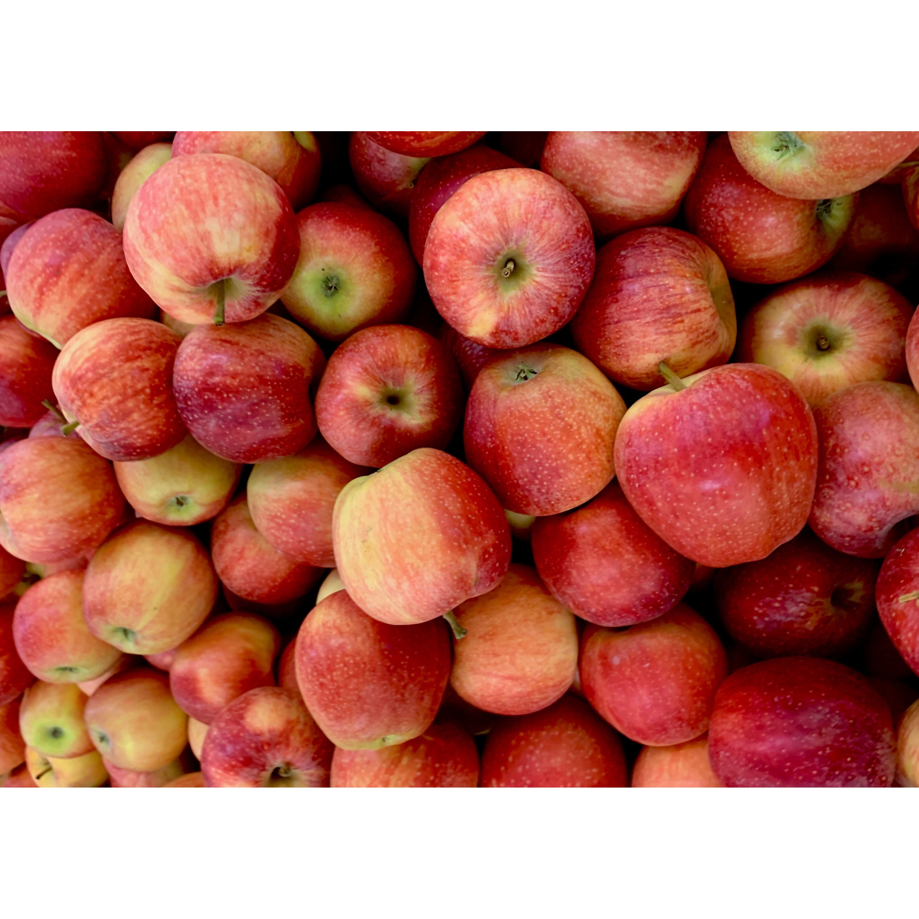 Pure Apple Sticks - Grain Free