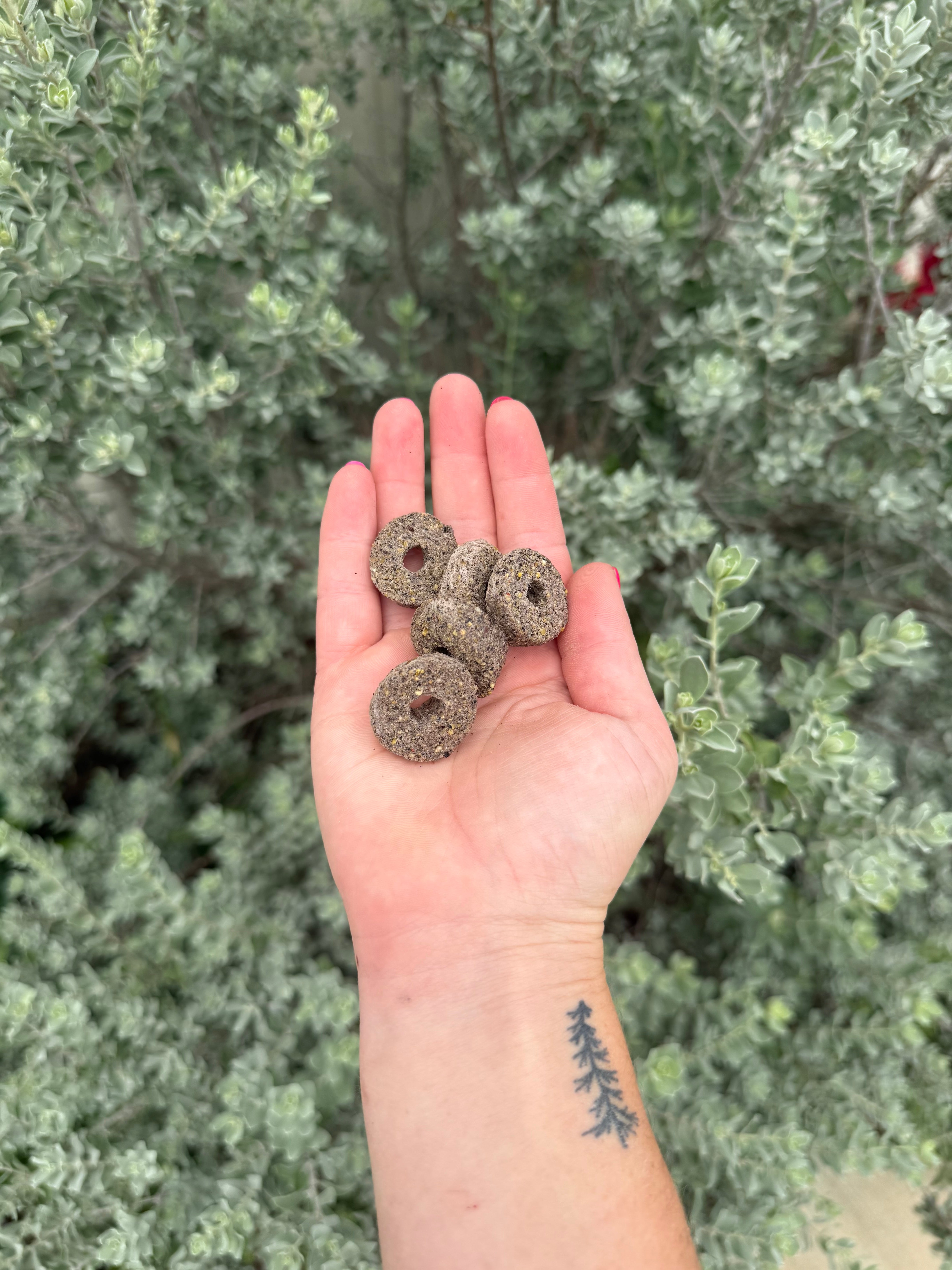 Rice Aronia Rings