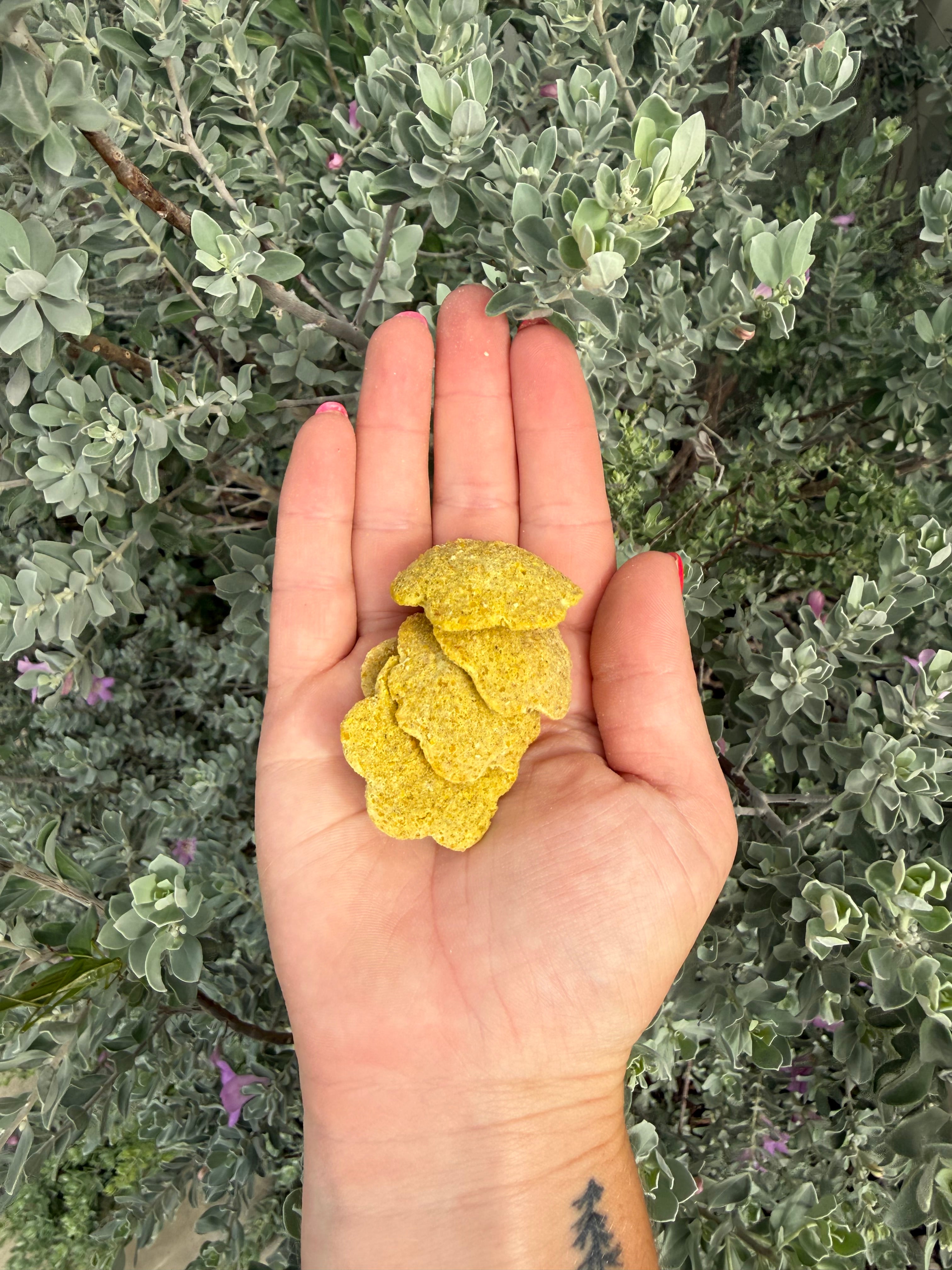 Honey Flowers