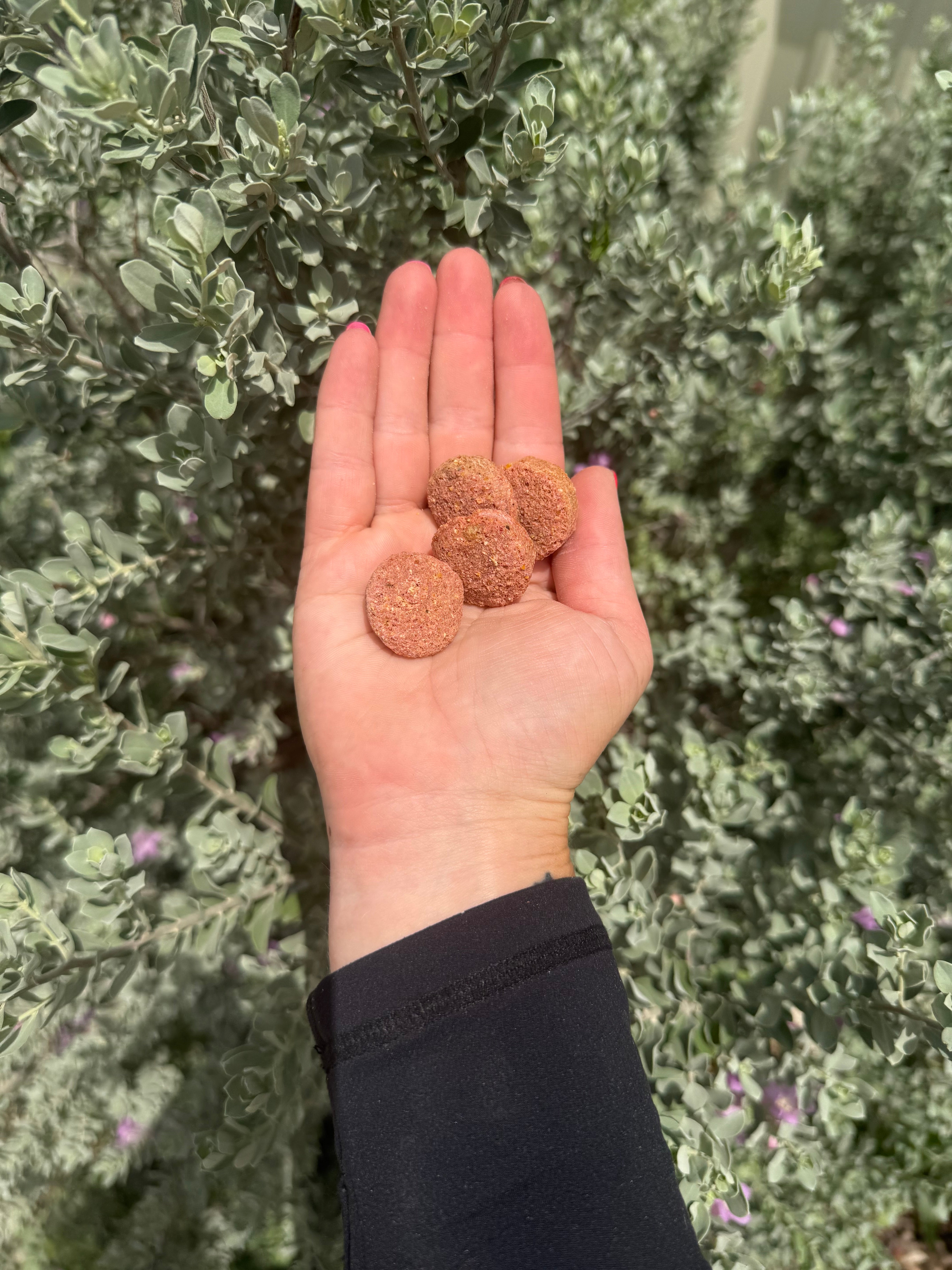 Rosehip Balls