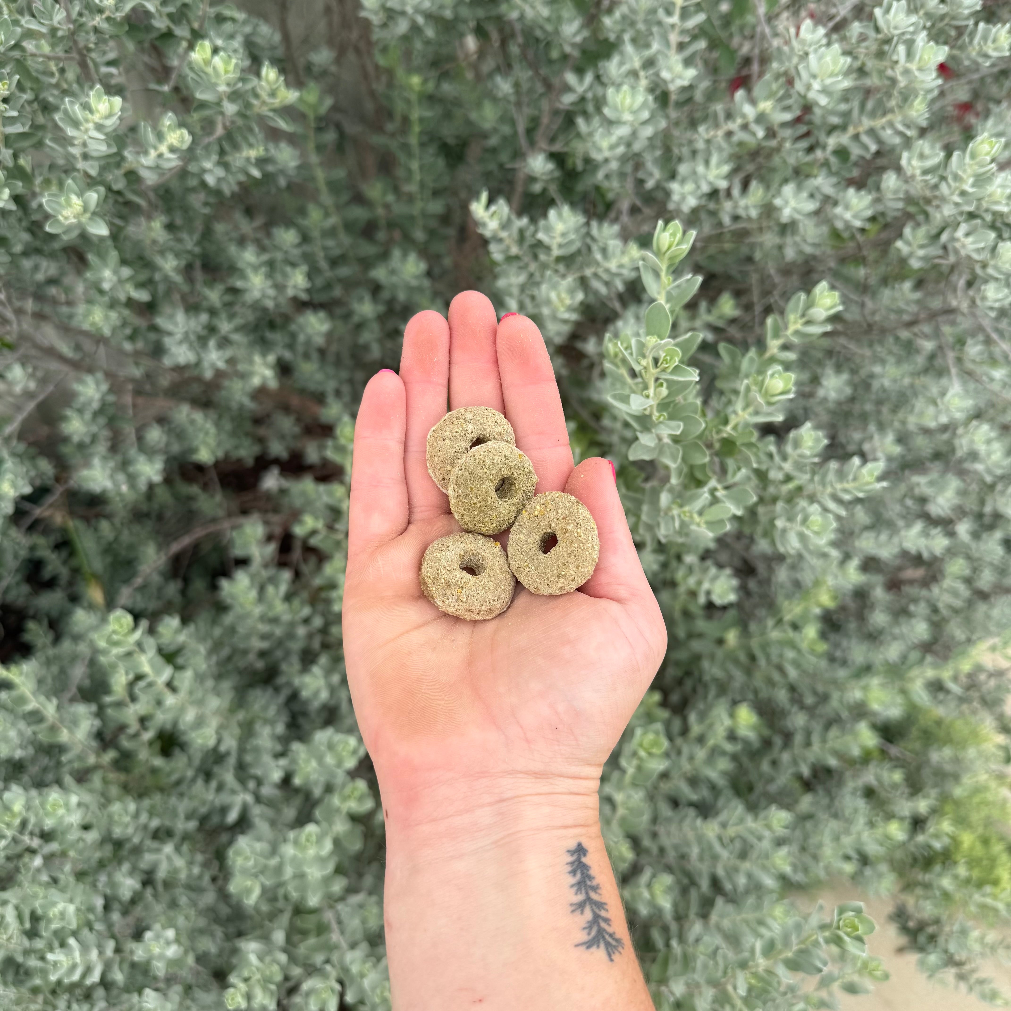 Alfalfa Rings