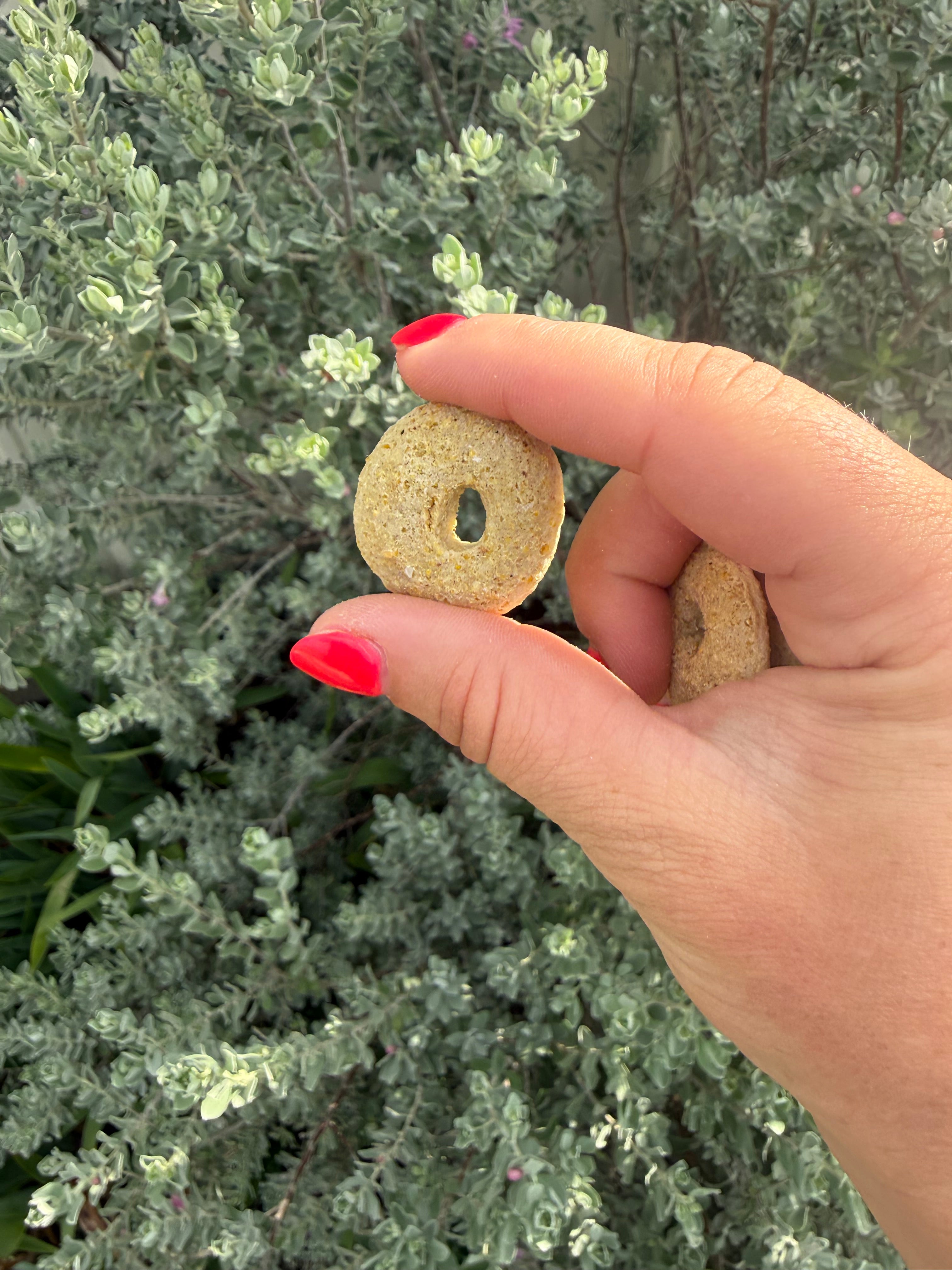 Coconut Rings