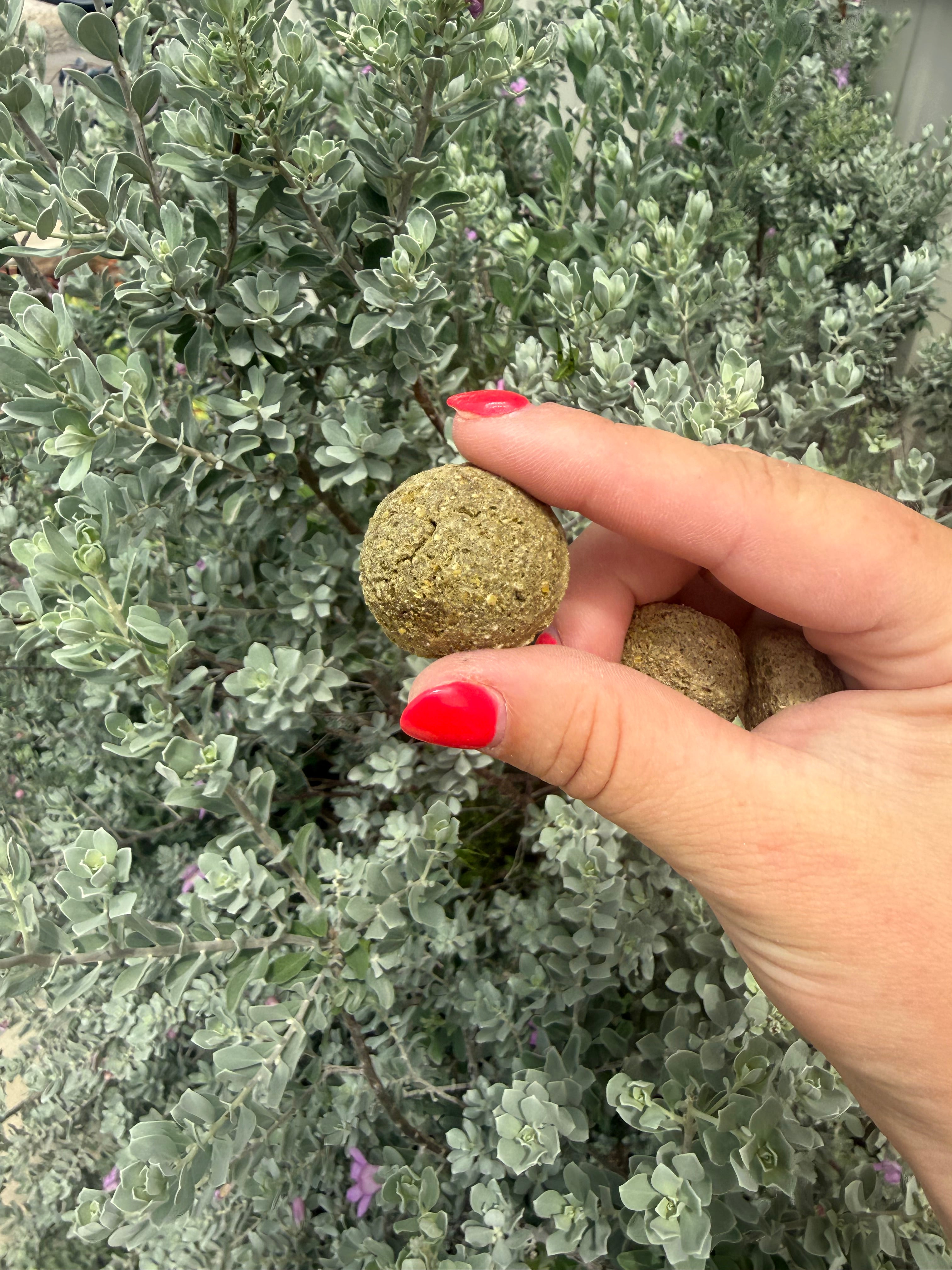 Herbal Balls