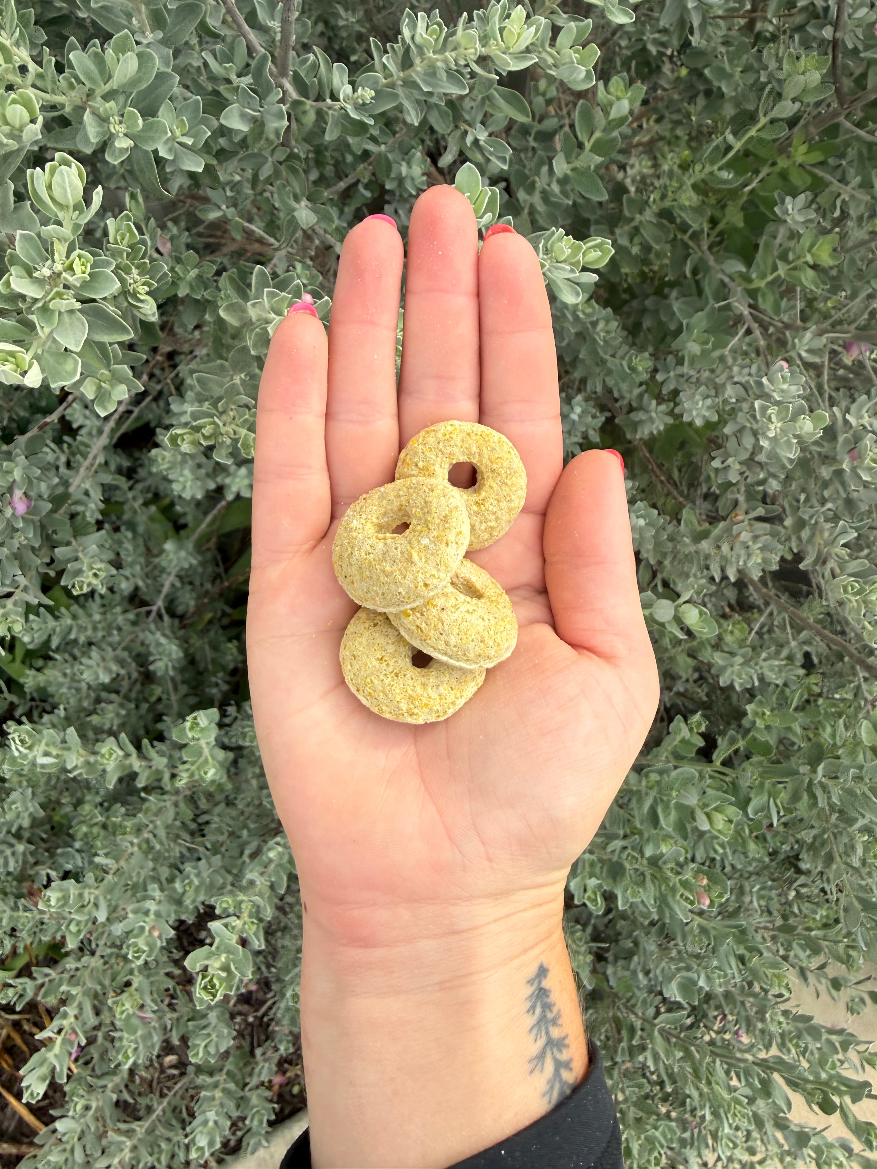 Coconut Rings