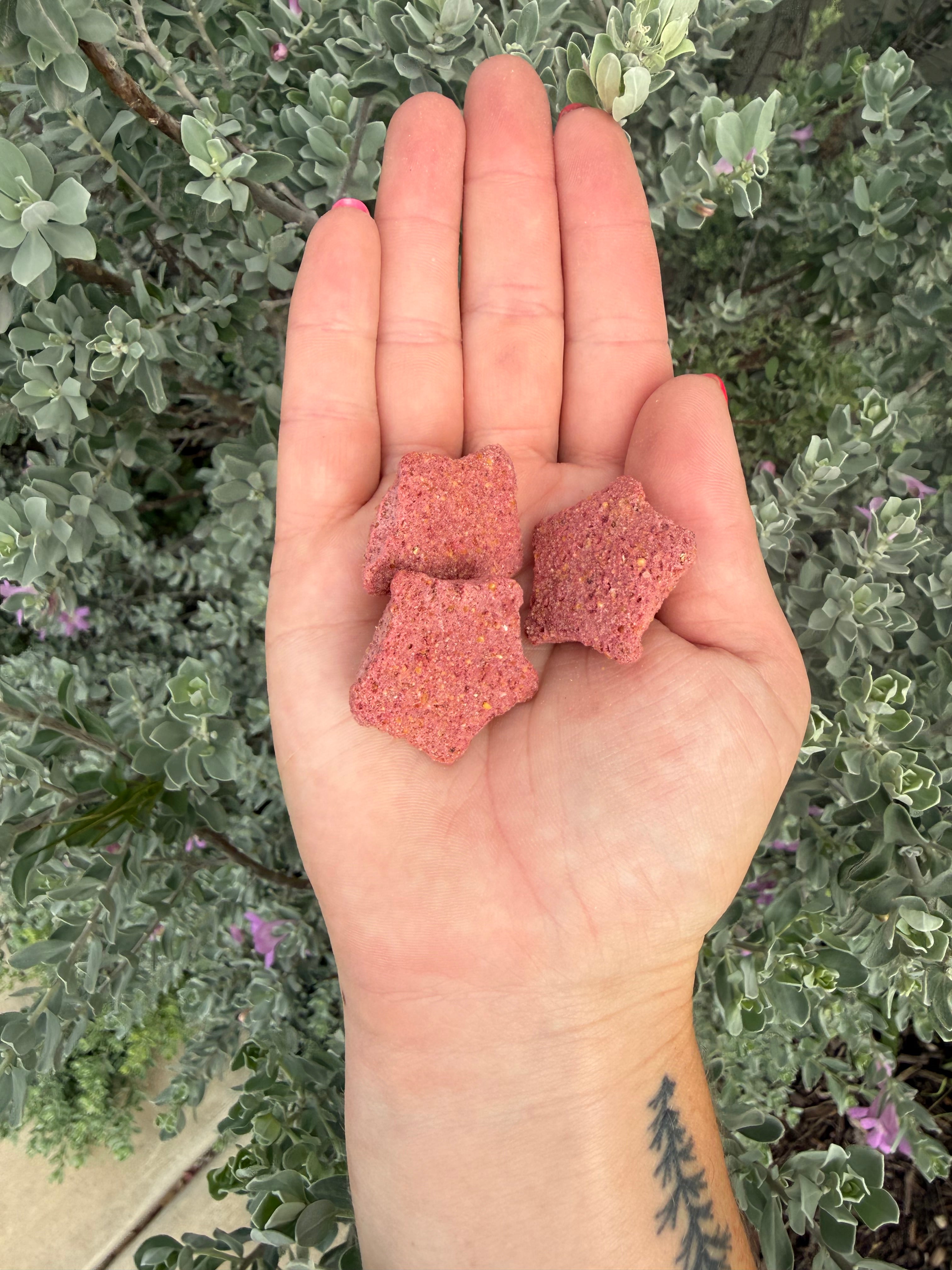 Papaya Stars