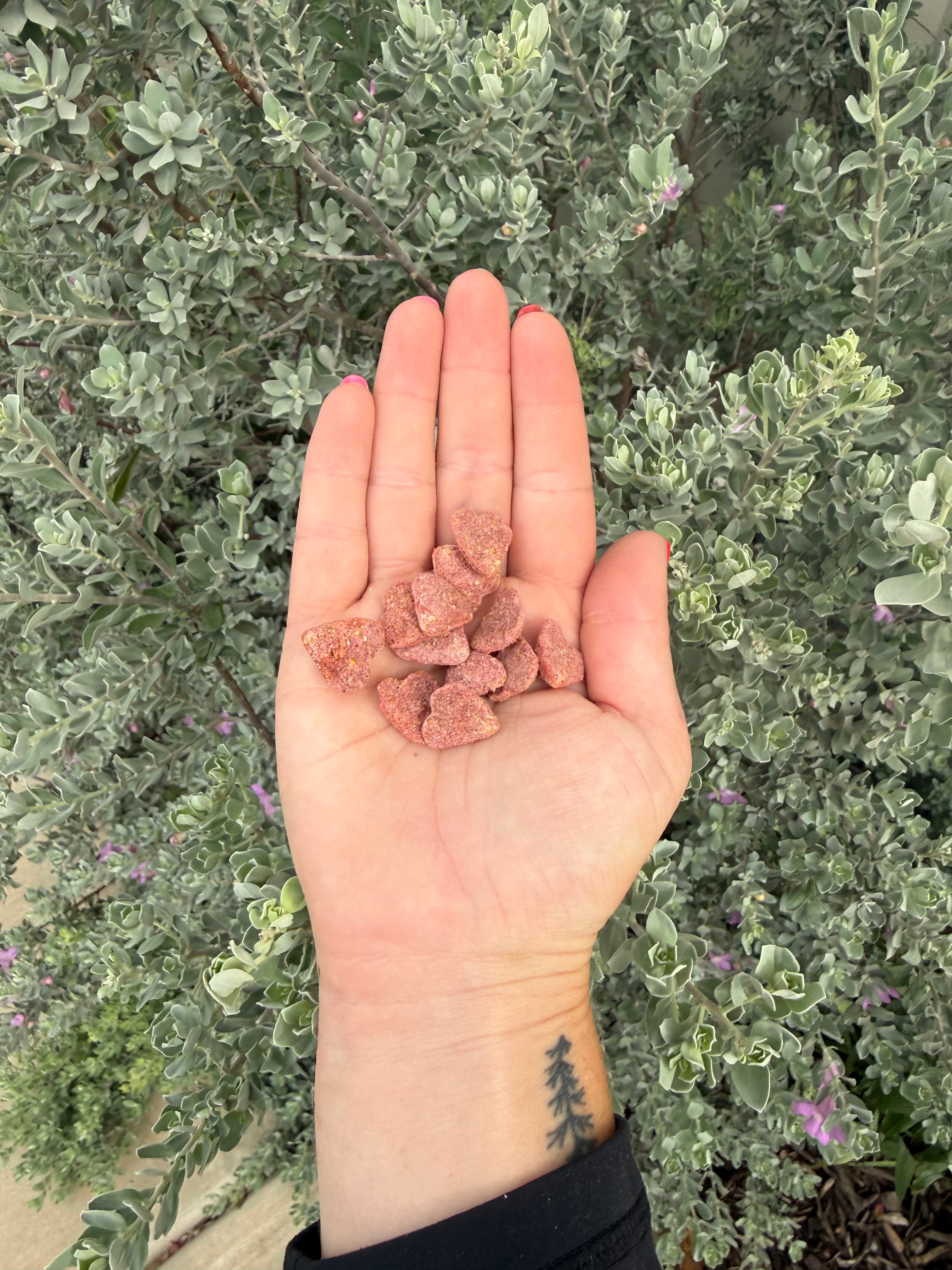 Clicker Carrot Beetroot