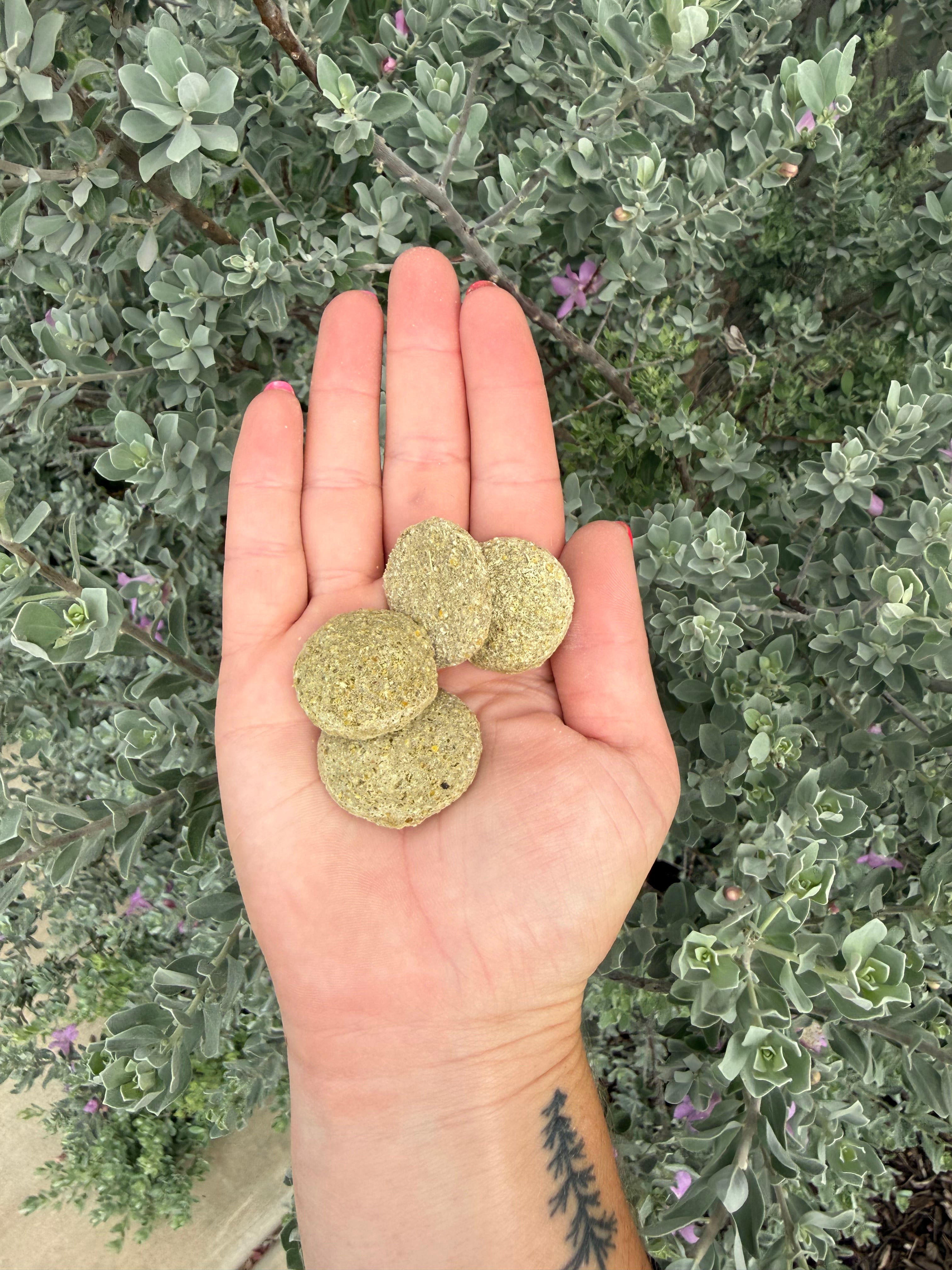 Mint Balls