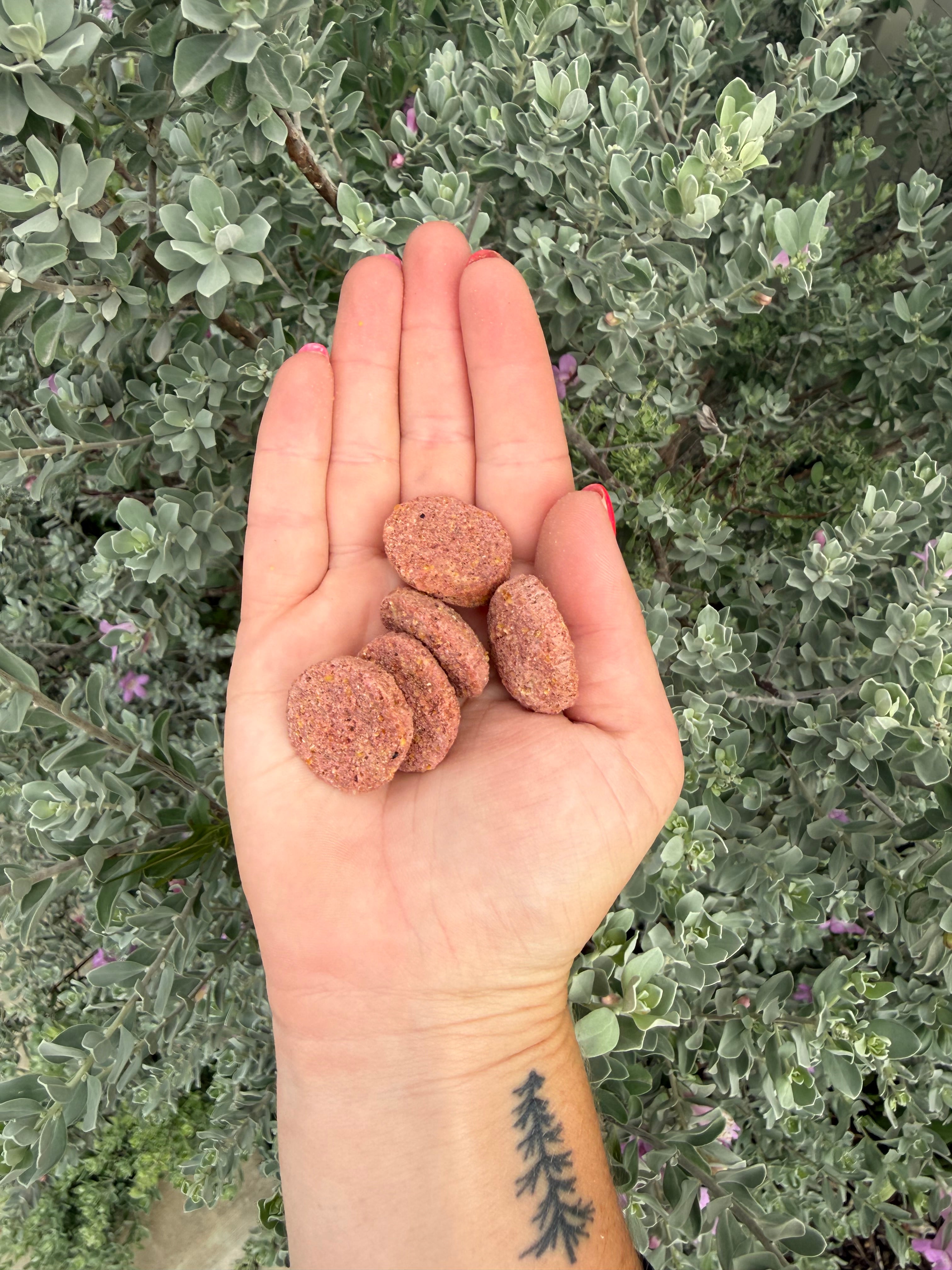 Raspberry Balls