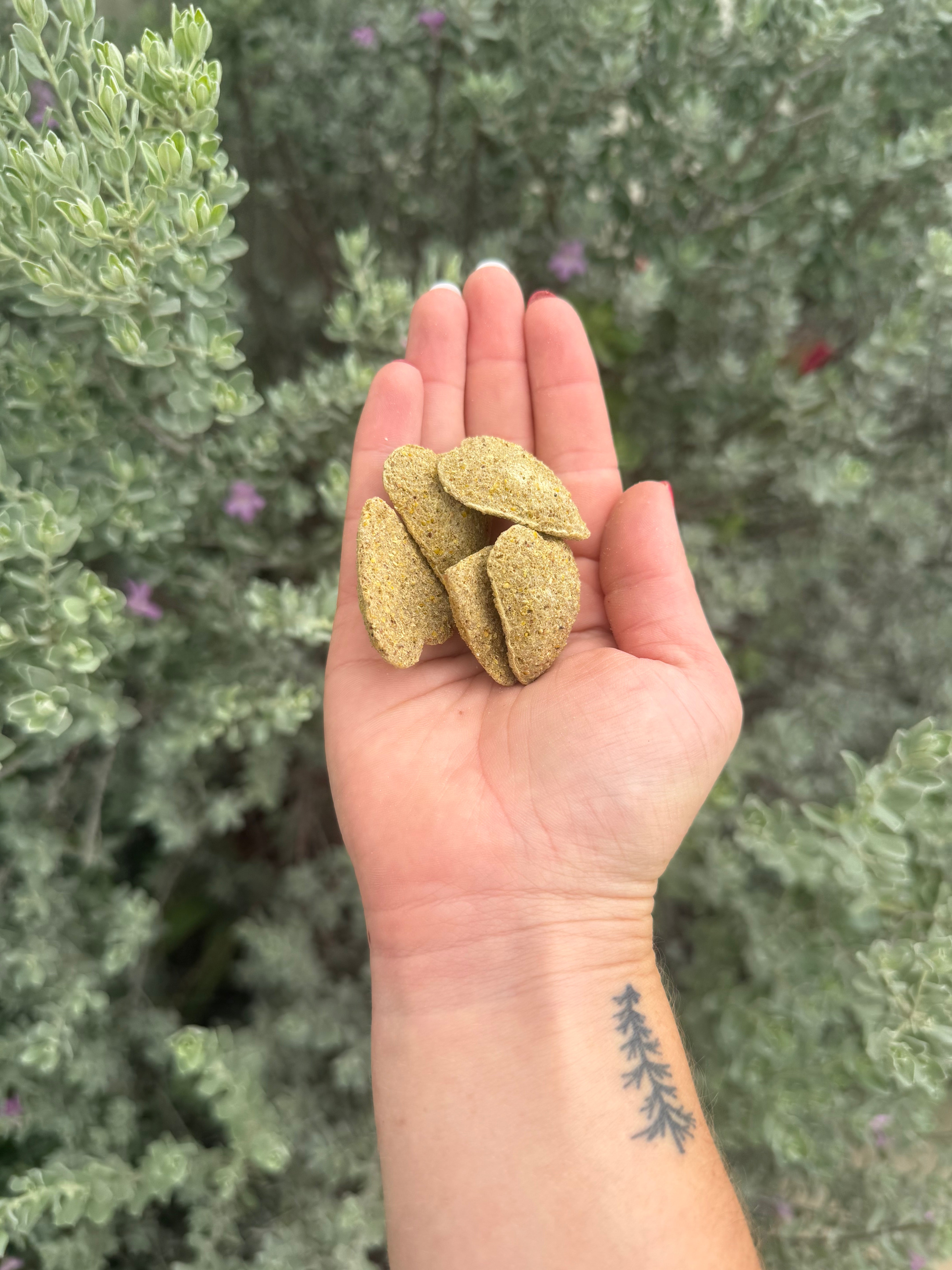 Green Apple Hearts
